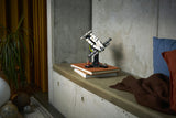 LEGO - Icons - Project Hail Mary (11389)