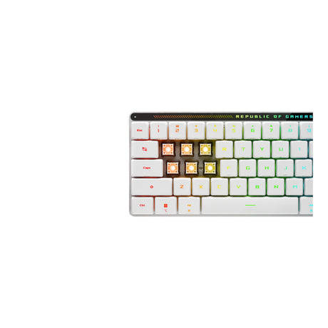 ASUS ROG Falchion RX – nærbillede af taster og belysning – layoutillustration