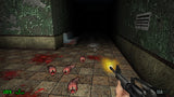 Dementium: The Ward – Nintendo Switch – skærmbillede 1