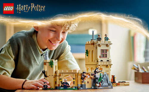 LEGO - Harry Potter TM - Hogwarts Castle: Flying Lessons (76447) Lego