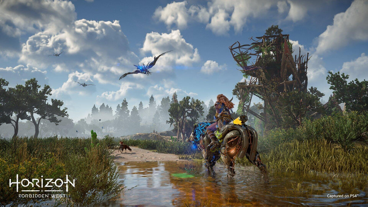 Horizon Forbidden West (Nordic) Sony