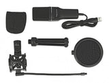 Delock USB Kondensator Mikrofon Set - für Podcasting, Gaming und Gesang DeLOCK