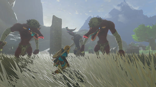 The Legend of Zelda: Tears of the Kingdom (Collector's Edition) – Nintendo Switch – skærmbillede 8