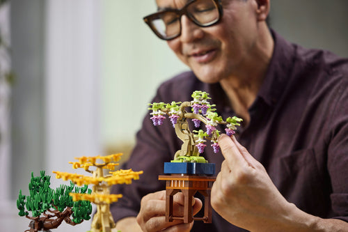 LEGO 10373 Botanical Collection - Małe drzewka Bonsai