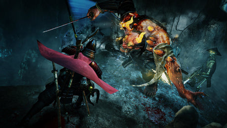 Nioh (Nordic)