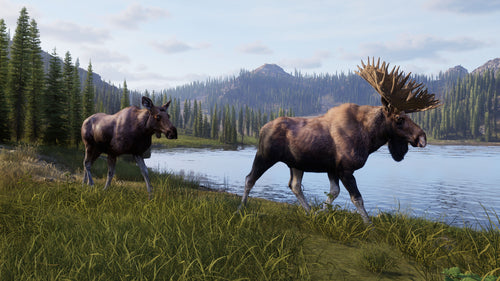 Way of the Hunter 2 (Deluxe Edition)