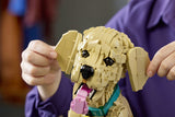 LEGO 11384 Icons - Szczeniak golden retriever Lego