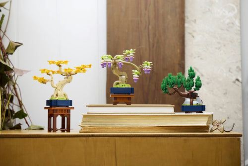 LEGO 10373 Botanical Collection - Małe drzewka Bonsai