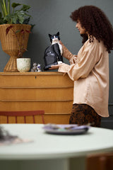 LEGO - LEGO Ideas - Tuxedo Cat (21349) Lego