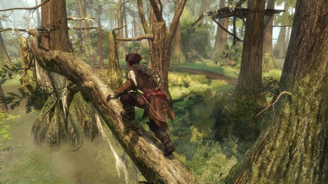 Assassin’s Creed III + Liberation Remastered – Nintendo Switch – skærmbillede 6