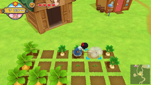 Harvest Moon: One World – spilbillede 10