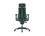 LiberNovo Omni Ergonomic stol- 48 cm grøn
