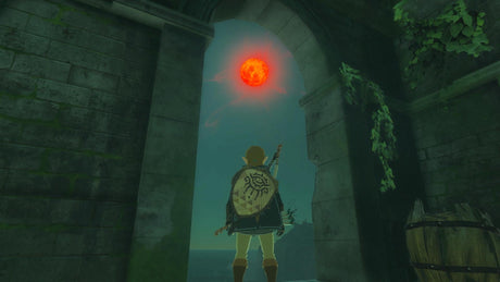 The Legend of Zelda: Tears of the Kingdom Nintendo