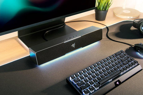 Razer - LEVIATHAN V2 X - Compact PC Gaming Soundbar Razer