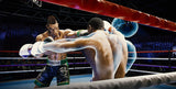 Creed: Rise to Glory (VR) – PlayStation 4 – skærmbillede fra spillet