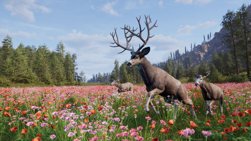 Way of the Hunter 2 (Deluxe Edition)