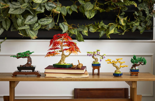 LEGO 10373 Botanical Collection - Małe drzewka Bonsai