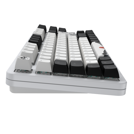 Dark Project  - Fuji V2 - RGB - Metal base Dark Project