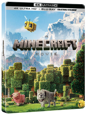 A MINECRAFT MOVIE Minecraft
