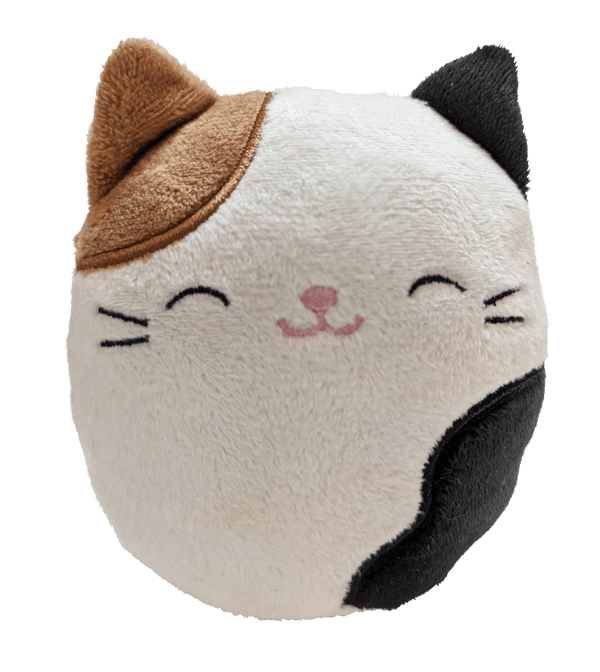 Squishmallows Cameron Bluetooth-højttaler – Cam the Cat