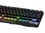 ASUS ROG Strix FLARE II ANIMATE PBT-Gaming-Tastatur (NX Red Switches) 