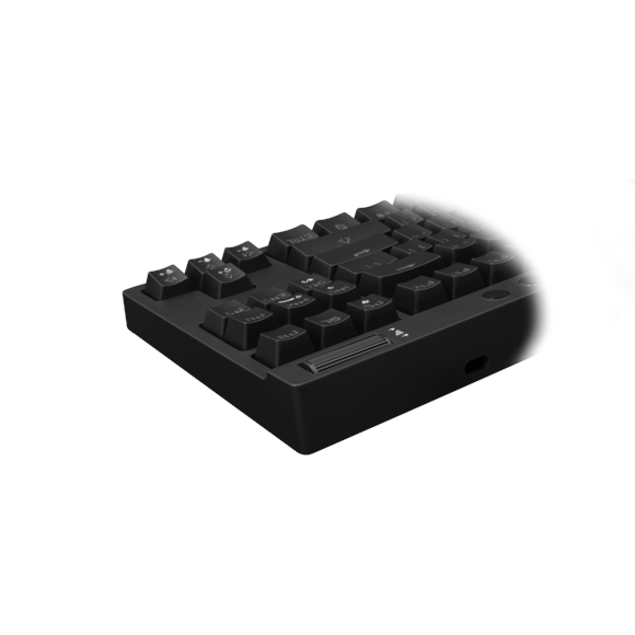 eShark Mechanische Tastatur Schwarz (UK-Tastatur)