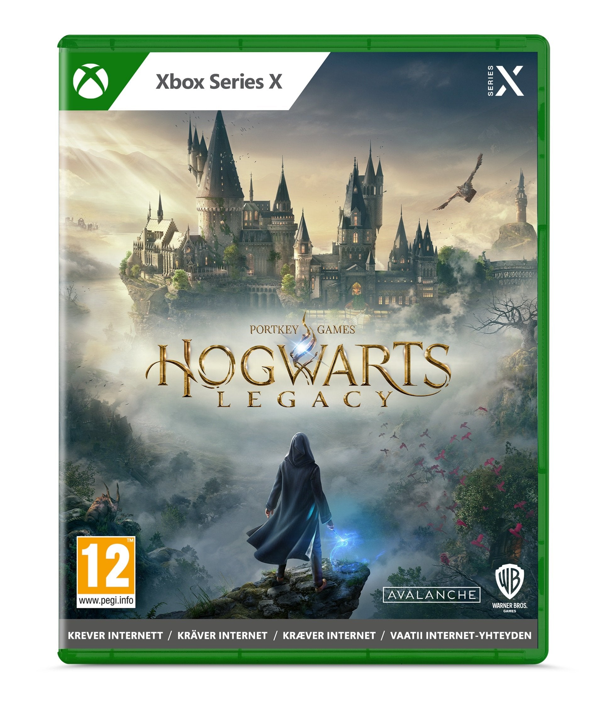 Hogwarts Legacy – Xbox Series X